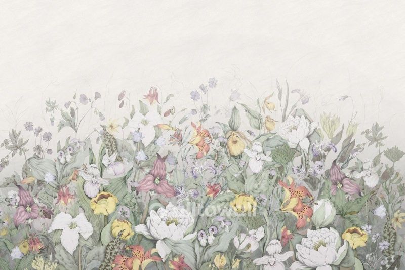 Летний букет