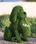 Топиари Собачка с корзинкой под цветы Уценка