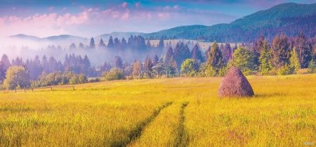 Утро в полях Art.30855