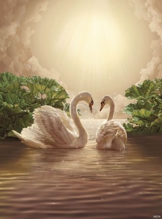 Лебеди  Art.30274