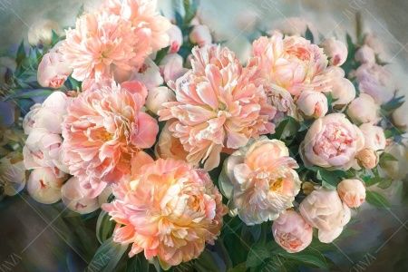 Фреска ALBA Flora арт. 800250