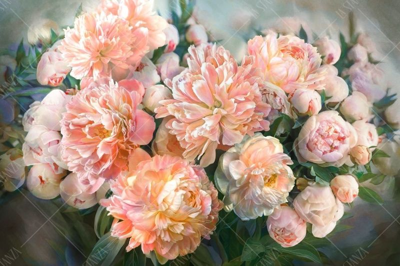 Фреска ALBA Flora арт. 800250