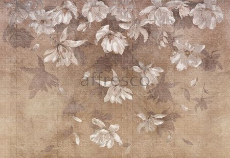 Лепестки в сепии, арт. ID136299