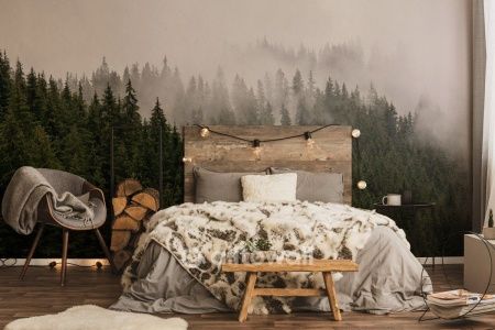 Хвойные вершины