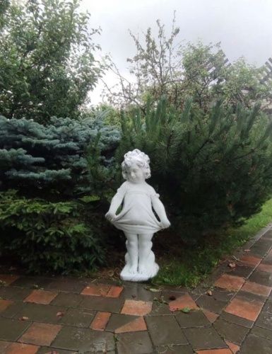 Девочка в платье