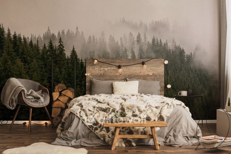 Хвойные вершины