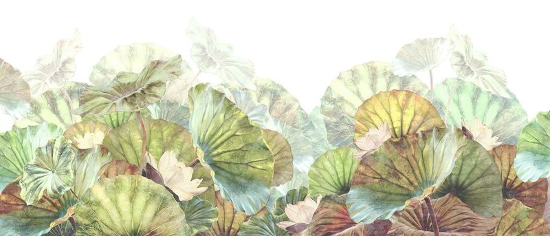 Best Photo Bank 2271797855