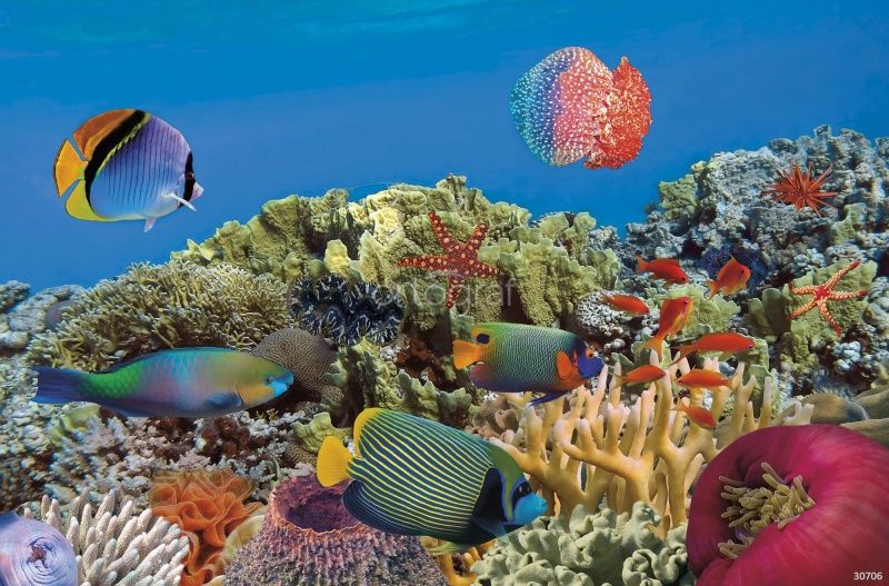 Фреска Риф Шааб Сабрина Art.30706