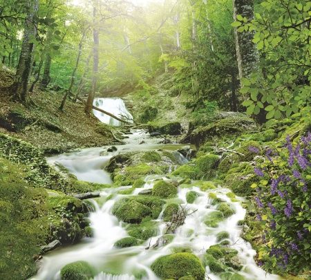Лесной водопад Art.50017