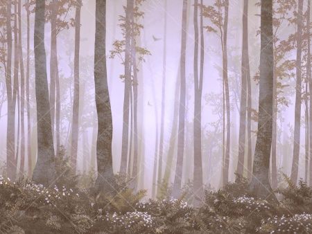 Фреска ALBA Natura арт. 800101