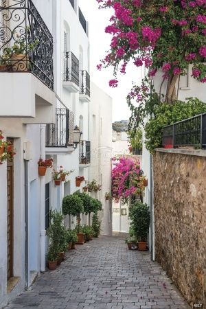 Мохакар Art.4617