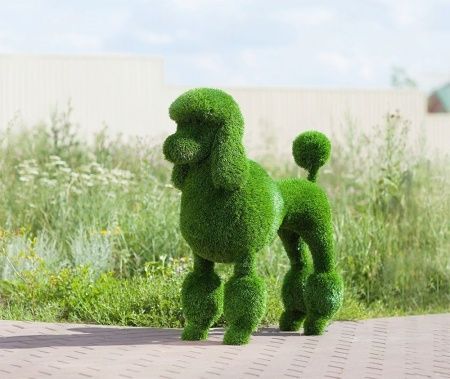 Топиар фигура "Пудель" 100см.