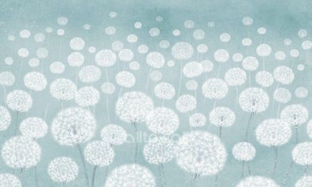 Одуванчики-2