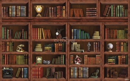 Стеллаж с книгами Art.33411