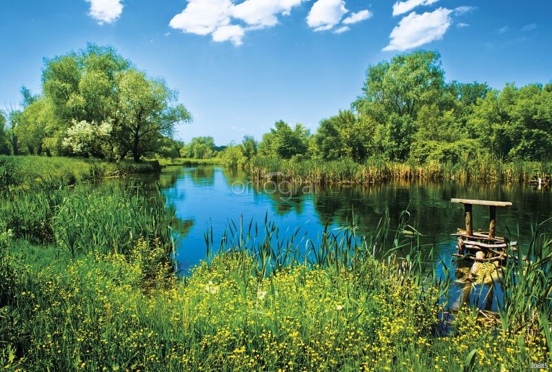 Солнечное озеро Art.30685