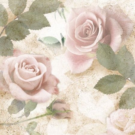 Графика Розы F7095