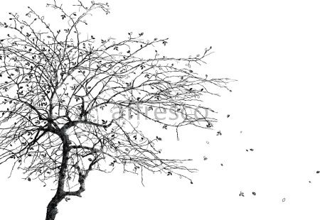 Падающие листья, арт. ID135780