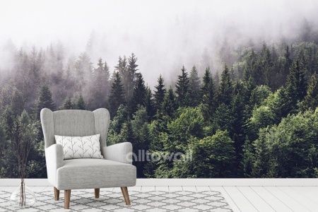 Загадочный туманный лес