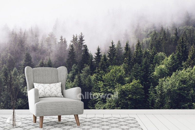 Загадочный туманный лес