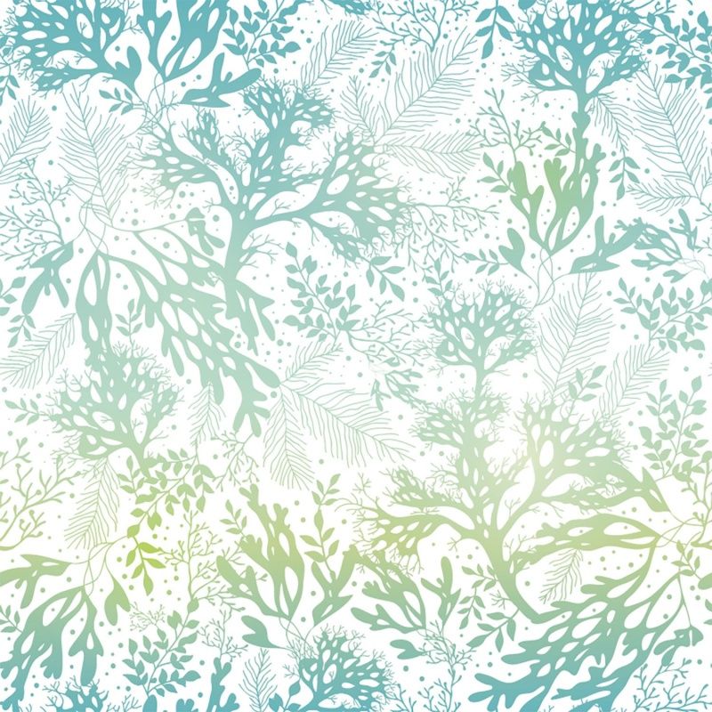 Best Photo Bank 568744825