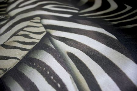 Виниловые фотообои Roberto Cavalli 8 RC19115