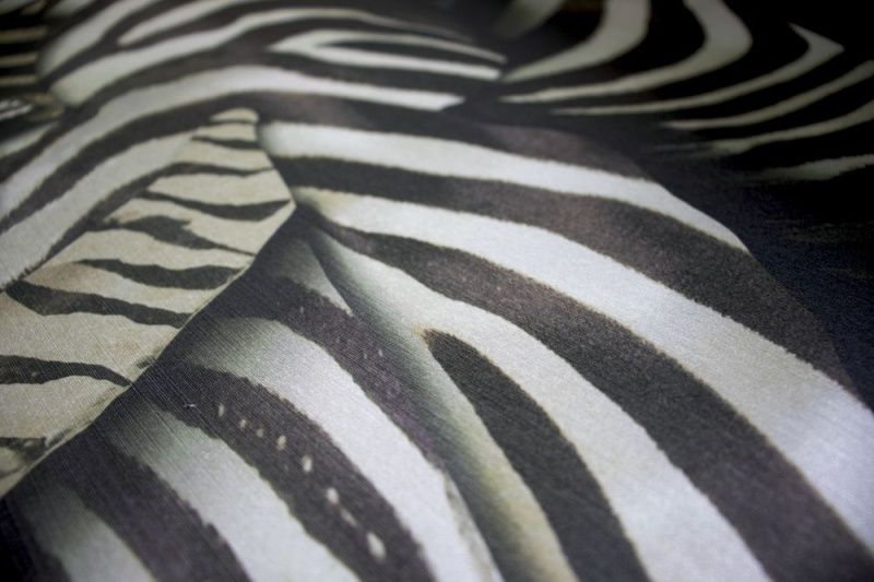 Виниловые фотообои Roberto Cavalli 8 RC19115