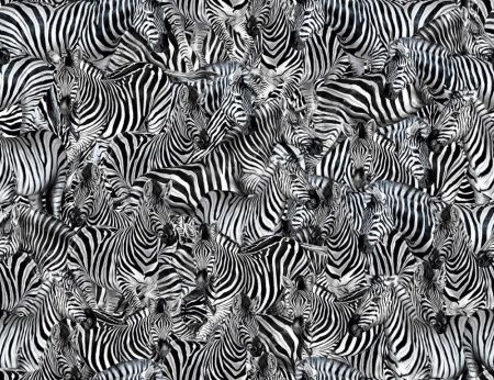 Виниловые фотообои Dolce&Gabbana №1 30123DGA