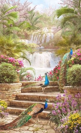 Современный Графический Дизайн 44436