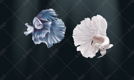 Фреска Tesoro арт. 01110-F