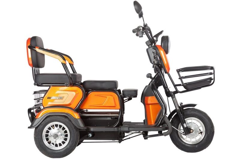 Электротрицикл Wanshida NIPLA 570 60V 1000Вт