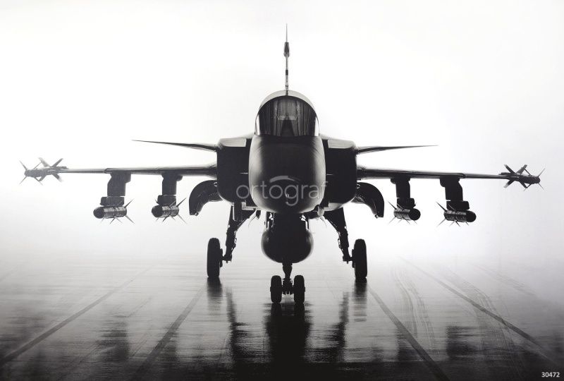 Фреска Истрибитель Art.30472