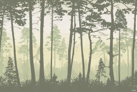 Туманный лес Art.33904