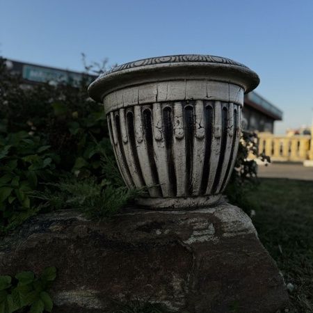 Глор большой