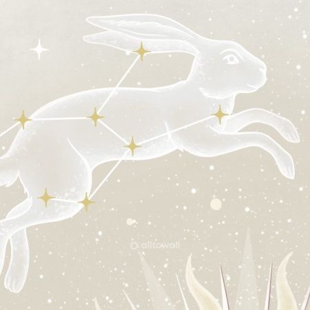 Созвездия зодиака-2