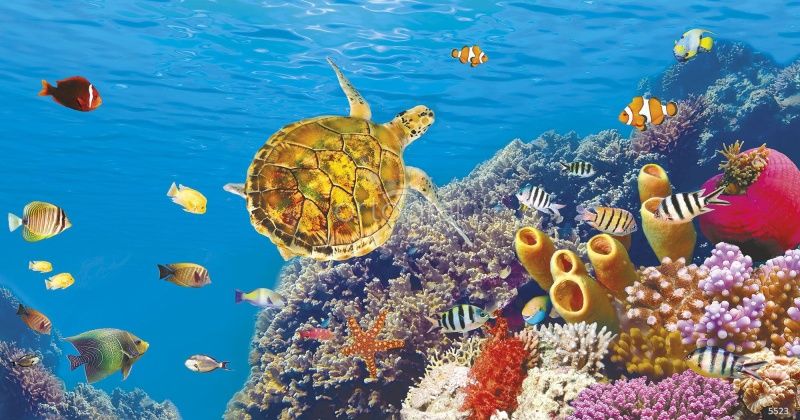 Морская черепаха Art.5523