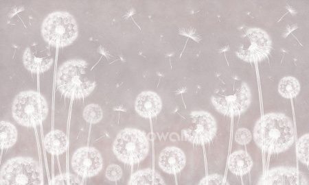 Одуванчики