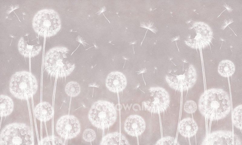 Одуванчики