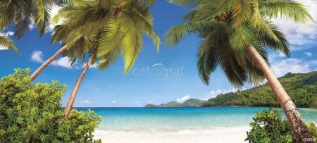 Пальмы на побережье Art.33418