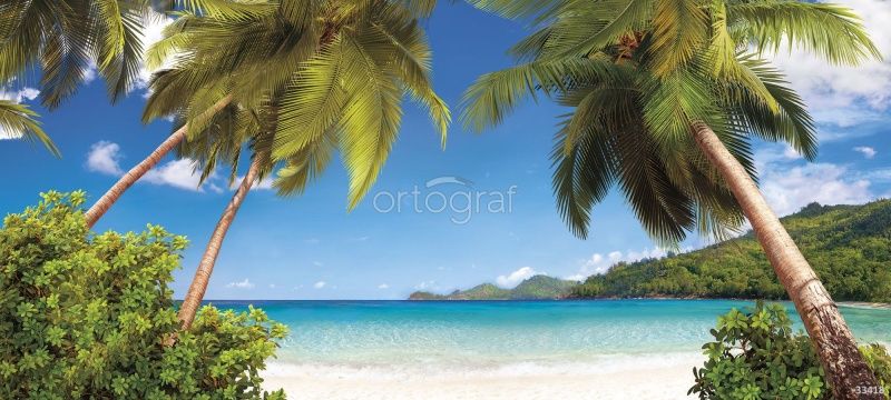 Пальмы на побережье Art.33418