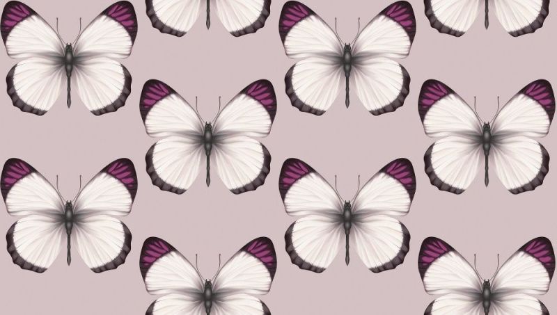 54401-7 Andrea Rossi Cheradi 1,06 x 10,05