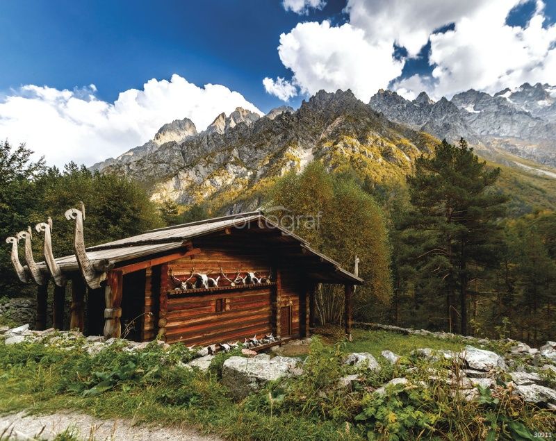 Северная Осетия Art.30911