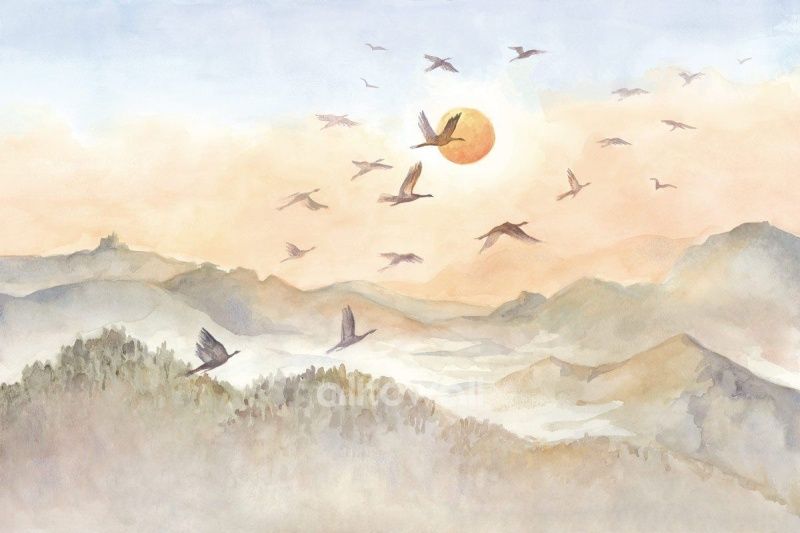 Вслед за солнцем