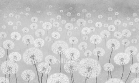 Одуванчики-2