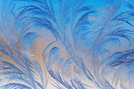 Best Photo Bank 1577457730