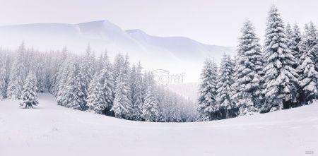 Зима в горах Art.5553