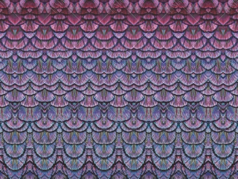 Фреска Орнаменты и потолки Современные орнаменты арт. 980403