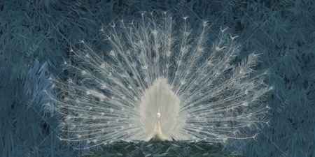 Фреска ALBA Natura арт. 800142