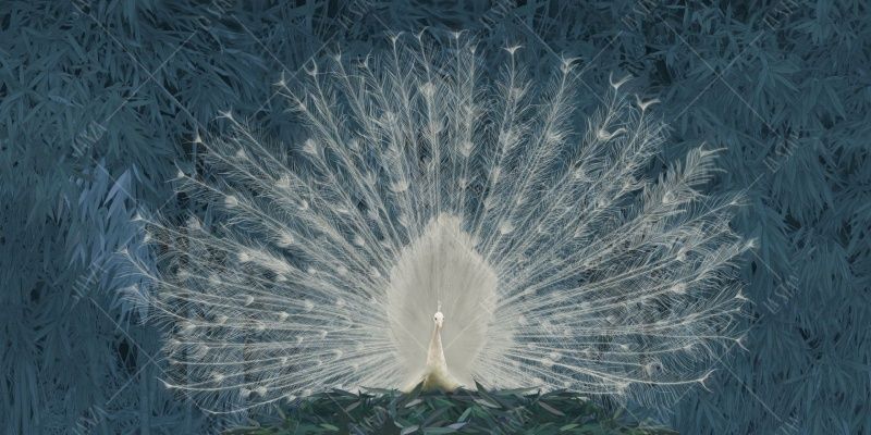 Фреска ALBA Natura арт. 800142