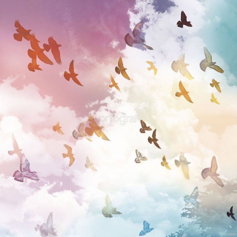 Птицы в небе Art.33076