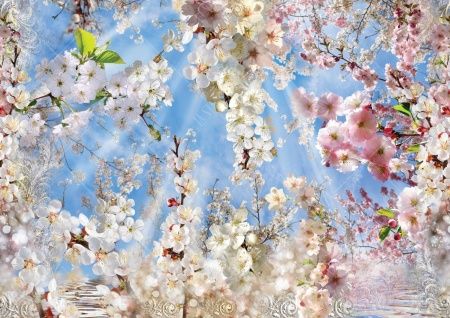 Фреска Яблони и сакура в цвету